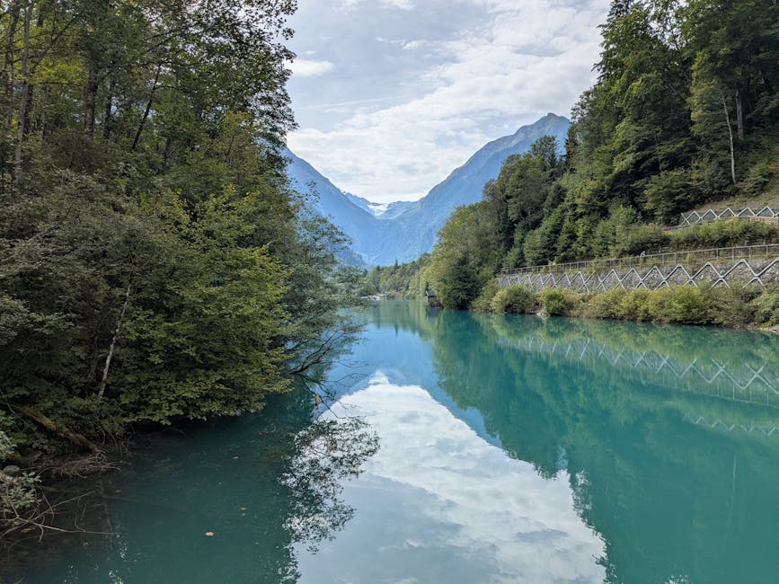 企業戶口:申請與管理全攻略