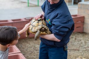 舒緩面霜的重要性與選擇指南